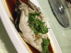 樱苑-樱苑(四川北路店)