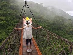 -三亚亚龙湾人间天堂鸟巢度假村