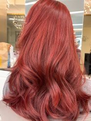 -潘多拉Hairsalon
