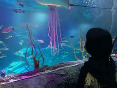 -沈阳海洋探索中心