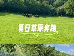 -广州雕塑公园