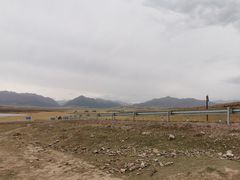 -山丹皇家马场