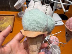 -野人先生现做冰淇淋(北京环宇荟店)