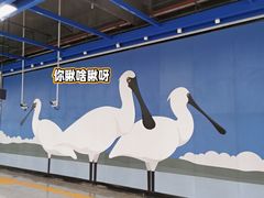 -红树湾(地铁站)
