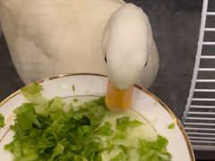 -好呷(东城十三碗美食广场店)