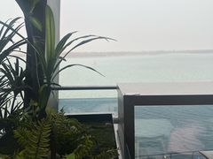 -抱抱地球咖啡馆(国家海洋博物馆店)