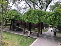 -迎泽公园