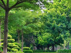 -白鹭洲公园