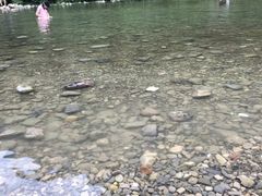 -宜昌下牢溪