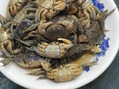 -双湖农庄