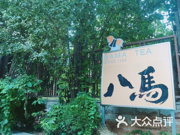 八马茶业图片 - 第13张