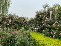 -丰台花园