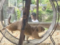-珠海海泉湾神秘岛亲子乐园