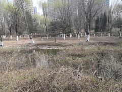 -长白岛森林公园