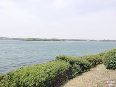 -丁香湖公园