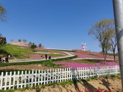 -莱阳濯村樱花园