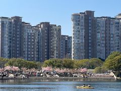 -新江湾城公园