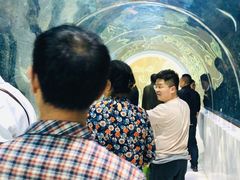 -华西龙希大酒店旅游观光区