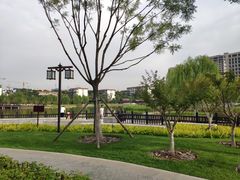 -西海子公园