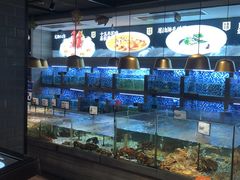 -上座·餐厅(阳光100店)