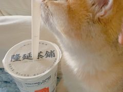 -隆延茶铺(学清路驹然店)