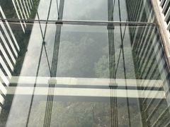 -牛鱼嘴原始生态风景区