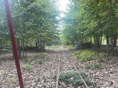 -合肥滨湖国家森林公园