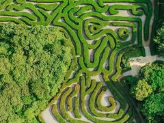 -大屏嶂森林公园
