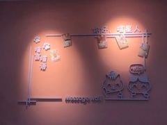 -喵宠乐园·撸猫互动·猫舍