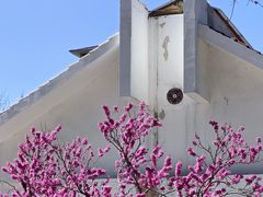 -石家庄市植物园