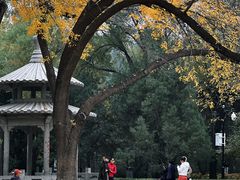 -玲珑塔公园