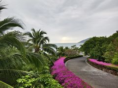 -日落吧·海景咖啡厅·餐酒吧·鸡尾酒·下午茶·乐队表演·浪漫夕阳·三亚文华东方酒店