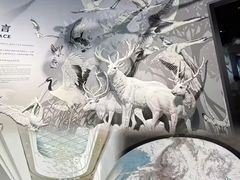 -中国湿地博物馆