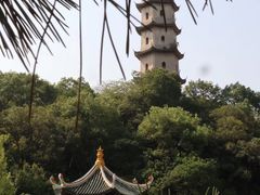 -江心屿景区