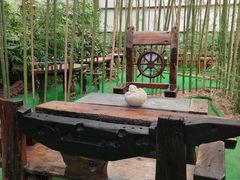 -北京呀路古热带植物园