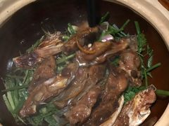 -广东道至正餐厅(区庄店)