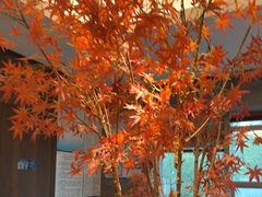-三谷里·生态水疗空间(五一店)