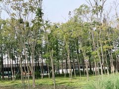 -嘉北郊野公园