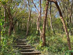 -南京市江宁方山
