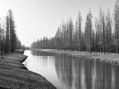 -黄海国家森林公园