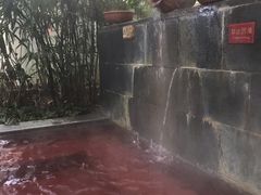 -仁爱团泊湖温泉中心