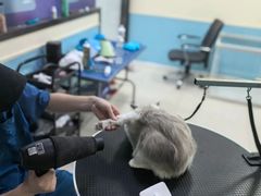 -天宠宠物医院24小时·急重症诊疗中心·全科·腔镜特色(和平分院)