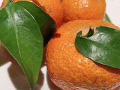 -大锅强·蒸海鲜青岛菜(城市阳台店)