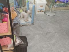 -优米宠物美容(体育场路店)