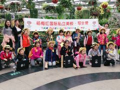 -杨梅红艺术教育(北京金源购物中心校区)