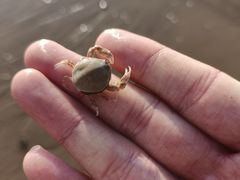 -金梦海湾浴场