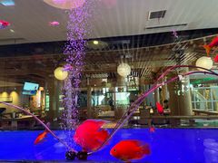-御池园(顾村公园店)