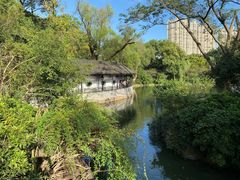 -红梅公园