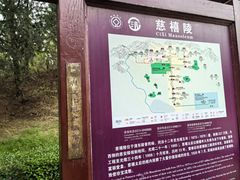 -清东陵