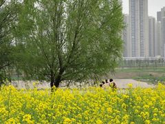 -汉江湾体育公园
